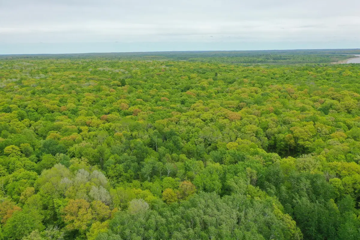 TBD Knopf Road, Rochert, MN 56578 - Image #1