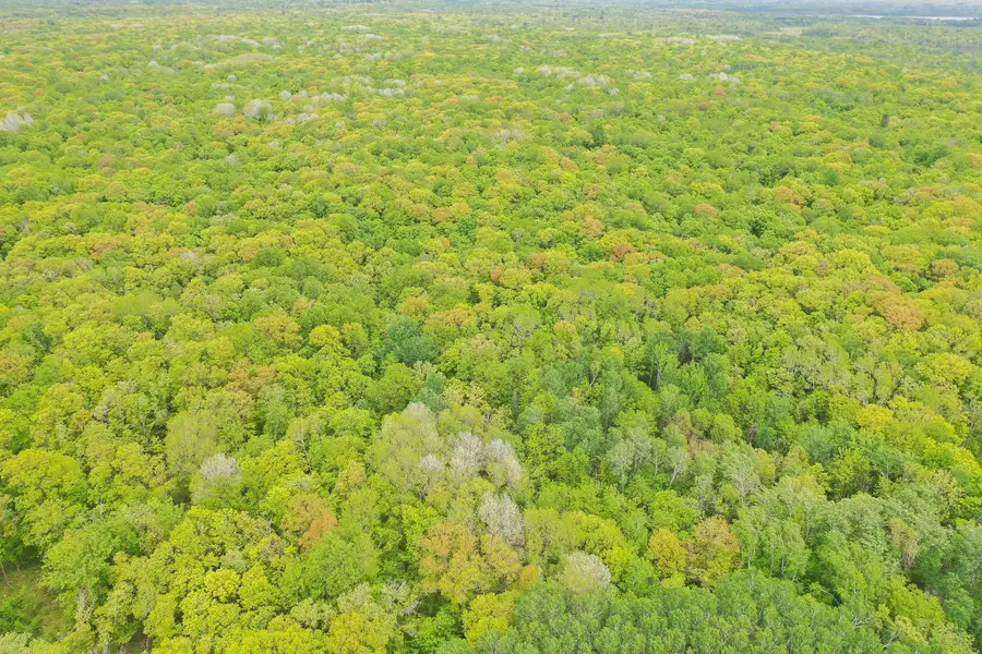 TBD Knopf Road, Rochert, MN 56578 - Image #3