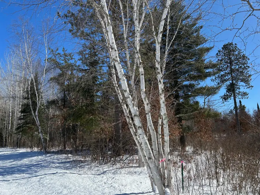 TBD NW 36th Street, Akeley, MN 56433 - Image #3