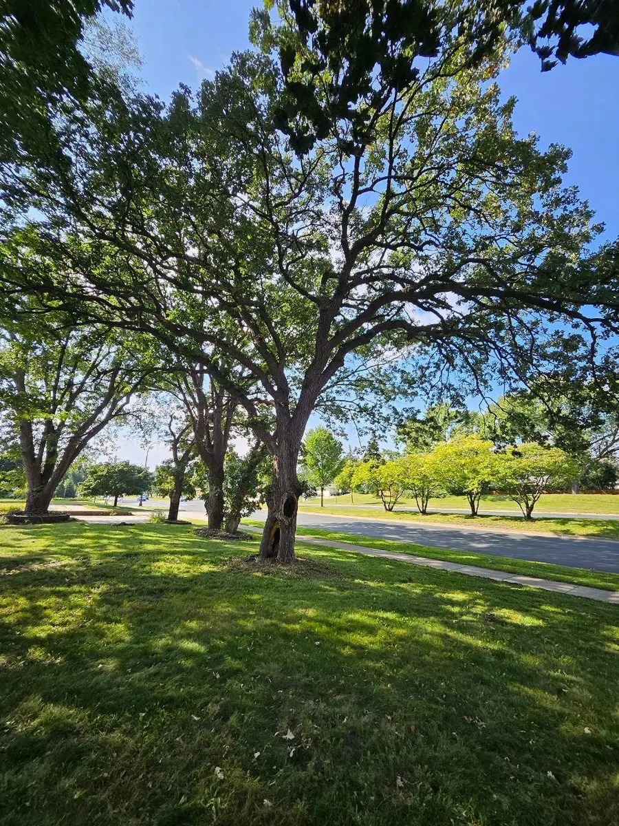 3801 69th Avenue N, Brooklyn Center, MN 55429 - Image #3