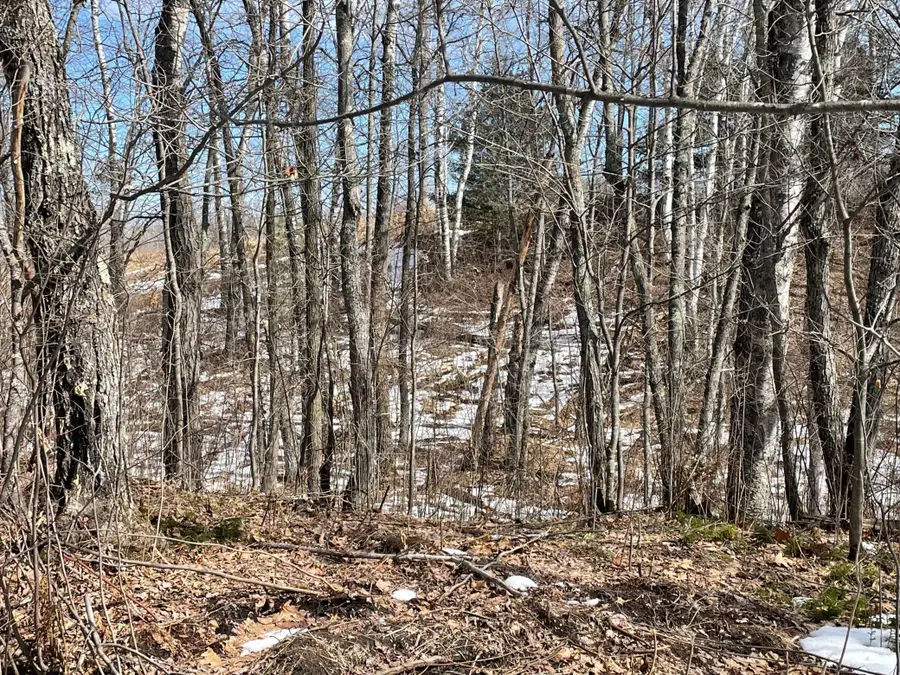 6630 Voyageurs Trail, Biwabik, MN 55708 - Image #3