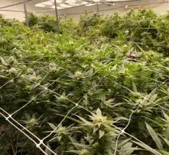 18625 Skunk Lake Road, Dell Grove Twp, MN 55072