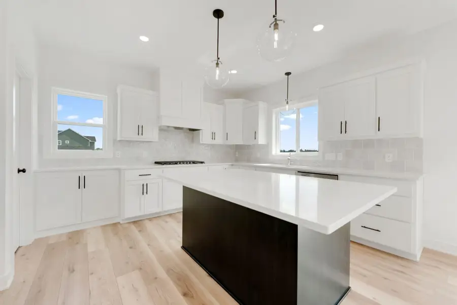 15068 Ardmullivan Lane, Rosemount, MN 55068 - Image #2