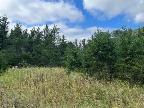 1707 Hassman Hill Tract D Road Sw, Pine River, MN 56474