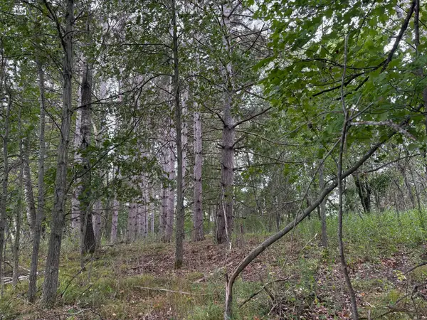 Lot 2 Lever Street Ne, Isanti, MN 55040
