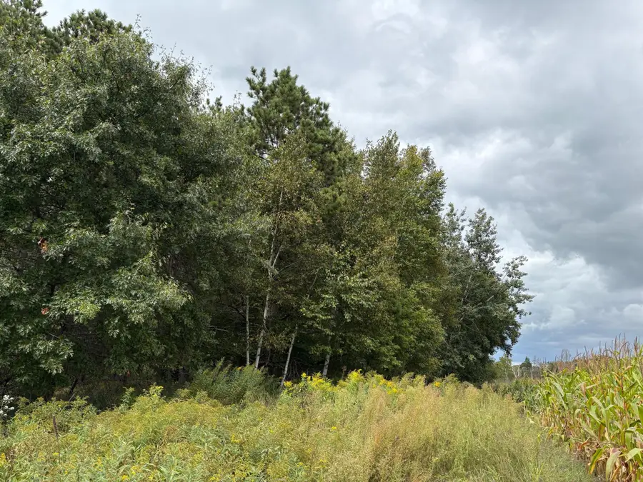 Lot 2 Lever Street Ne, Isanti, MN 55040 - Image #2