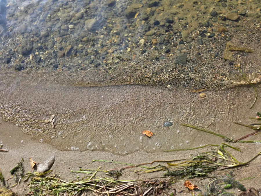 TBD Andrusia Road Se, Cass Lake, MN 56633 - Image #3