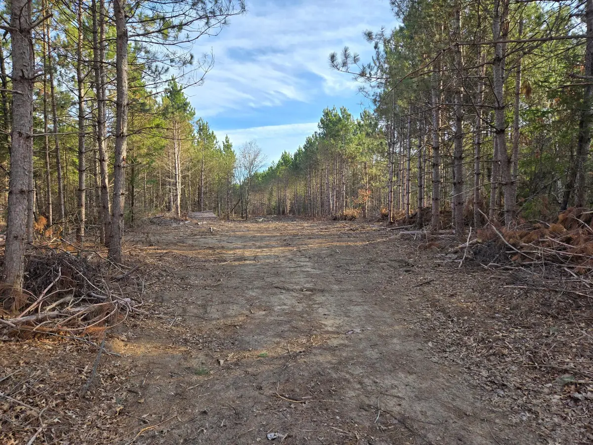 Lot 1 County Road S, Wheeler, WI 54772 - Image #1