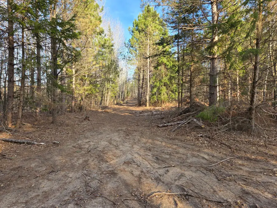 Lot 1 County Road S, Wheeler, WI 54772 - Image #2