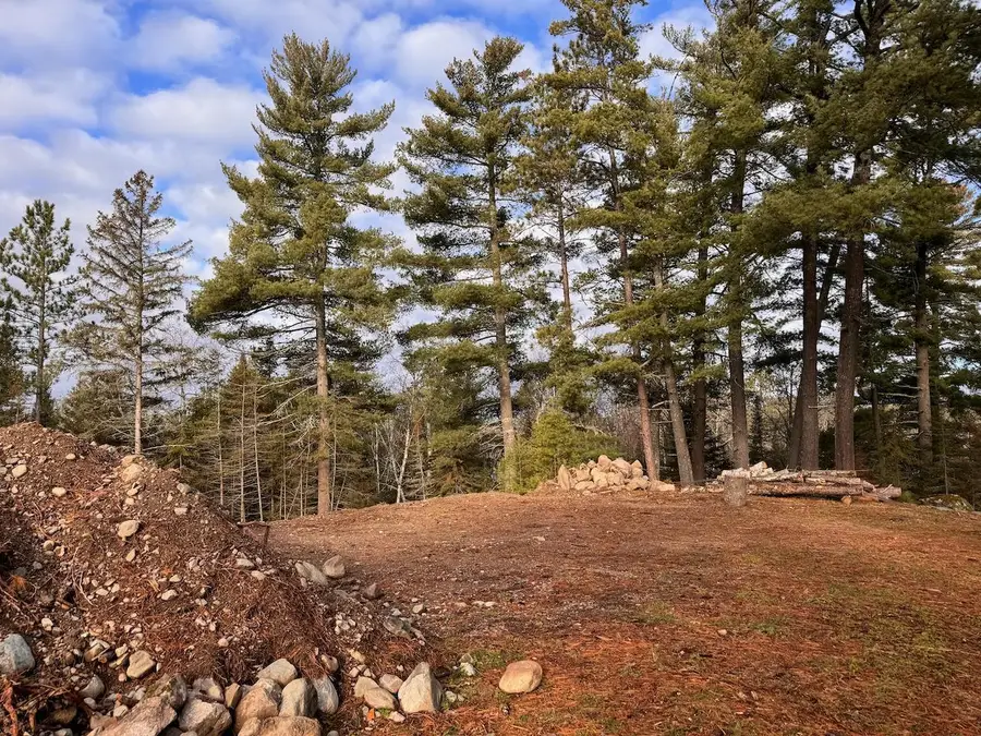 2922 Chaps Road, Cook, MN 55723 - Image #2