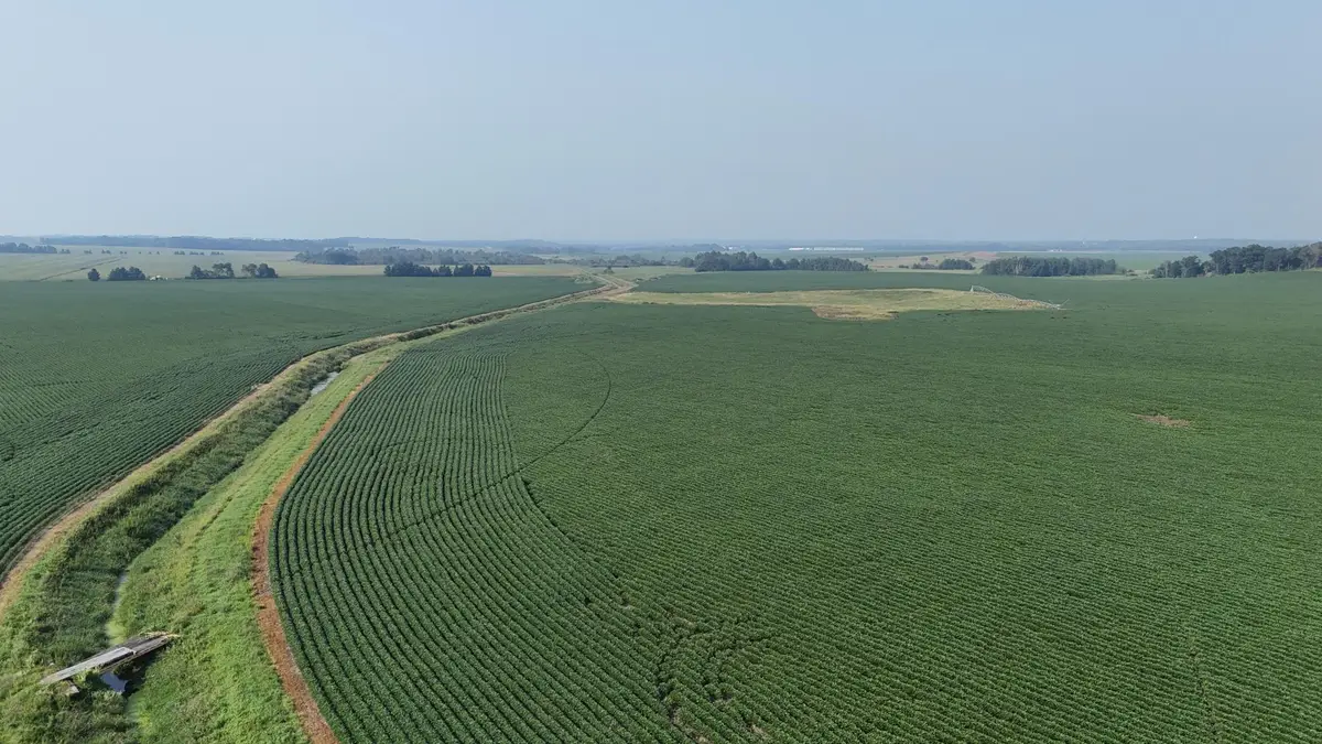 TBD County 61, Browerville, MN 56438 - #1