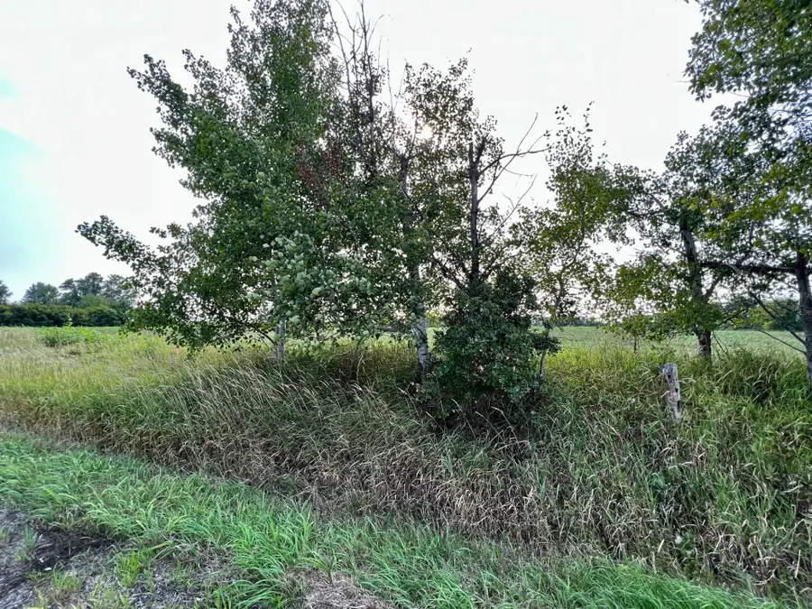 XXXXX Jeffrey Ave N - Parcel A, Hugo, MN 55038 - Image #3