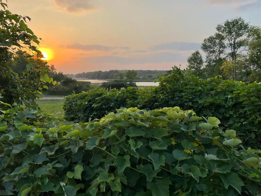 26140 Crystal Point Drive Parcel H, Pelican Rapids, MN 56572 - Image #3