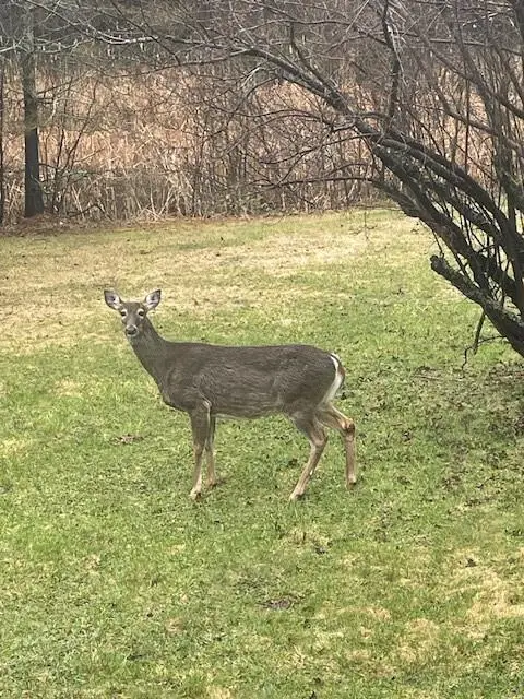 1735 Highway 12, Two Harbors, MN 55616 - Image #3