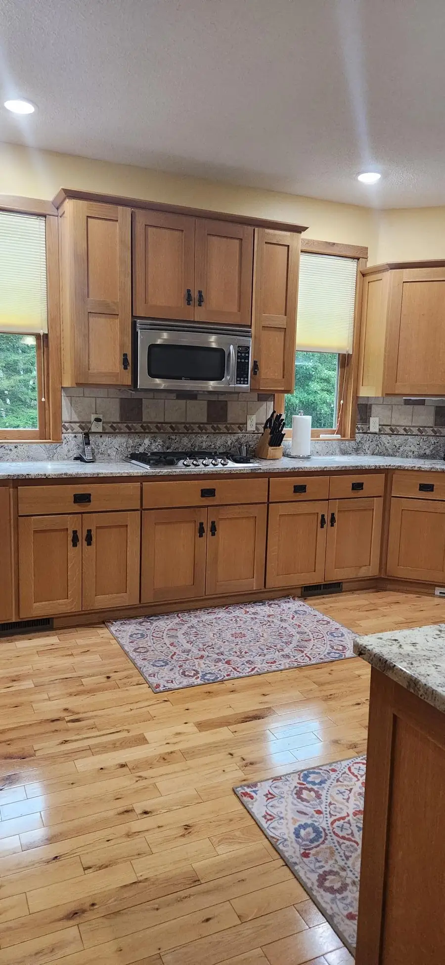 3677 County Road 54 Ne, Longville, MN 56655 - #2