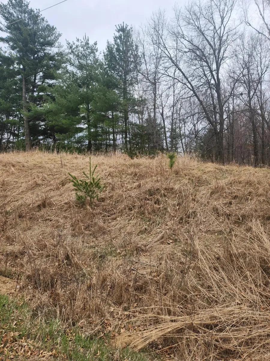 3650 253rd Avenue Ne, Isanti, MN 55040 - Image #3