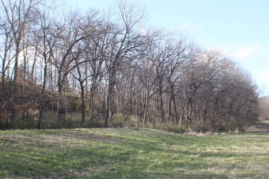 xxxxC Kings Park Road Nw, Oronoco Township, MN 55960 - Image #2