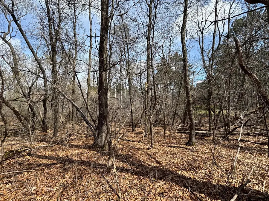 xxx E Viking Boulevard, Wyoming, MN 55092 - Image #3