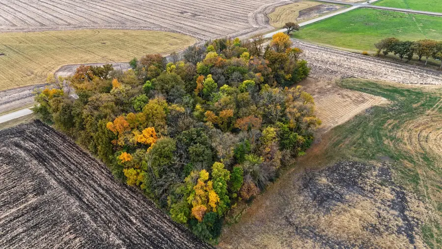 XXX 200th Street, Arlington, MN 55307 - Image #3