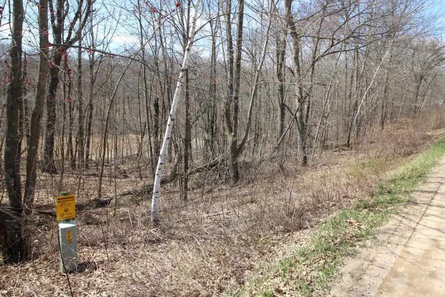 XXX Lake Camille Dr., Randall, MN 56475 - #2