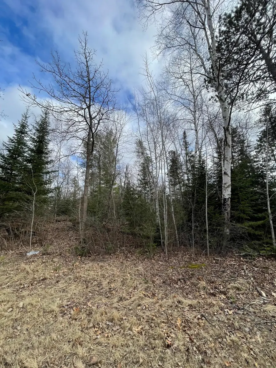 TBD Wildwood Road, Farden Township, MN 56633 - Image #2