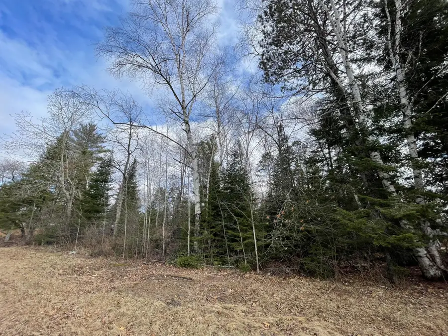 TBD Wildwood Road, Farden Township, MN 56633 - Image #3