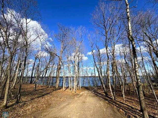 TRACT D County Road 112, Maple Grove, MN 56589 - Image #3