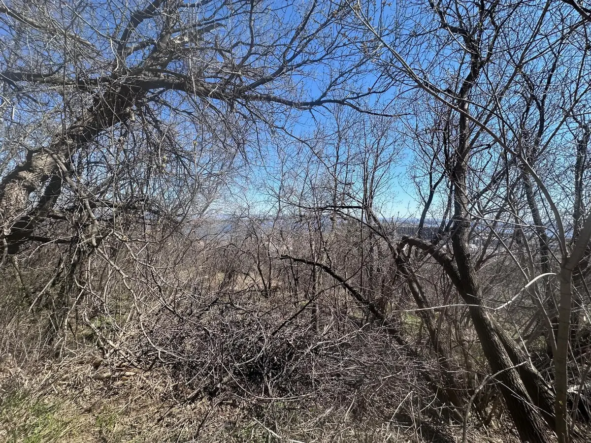 1010 W 2nd Street, Duluth, MN 55805 - Image #1