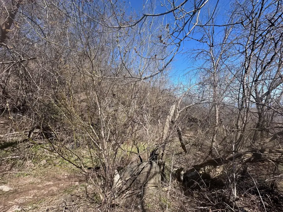 1010 W 2nd Street, Duluth, MN 55805 - Image #3