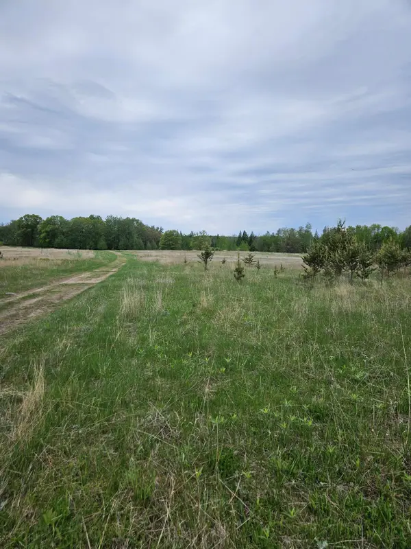 tbd Pillager Creek Trail Sw, Sylvan Twp, MN 56473
