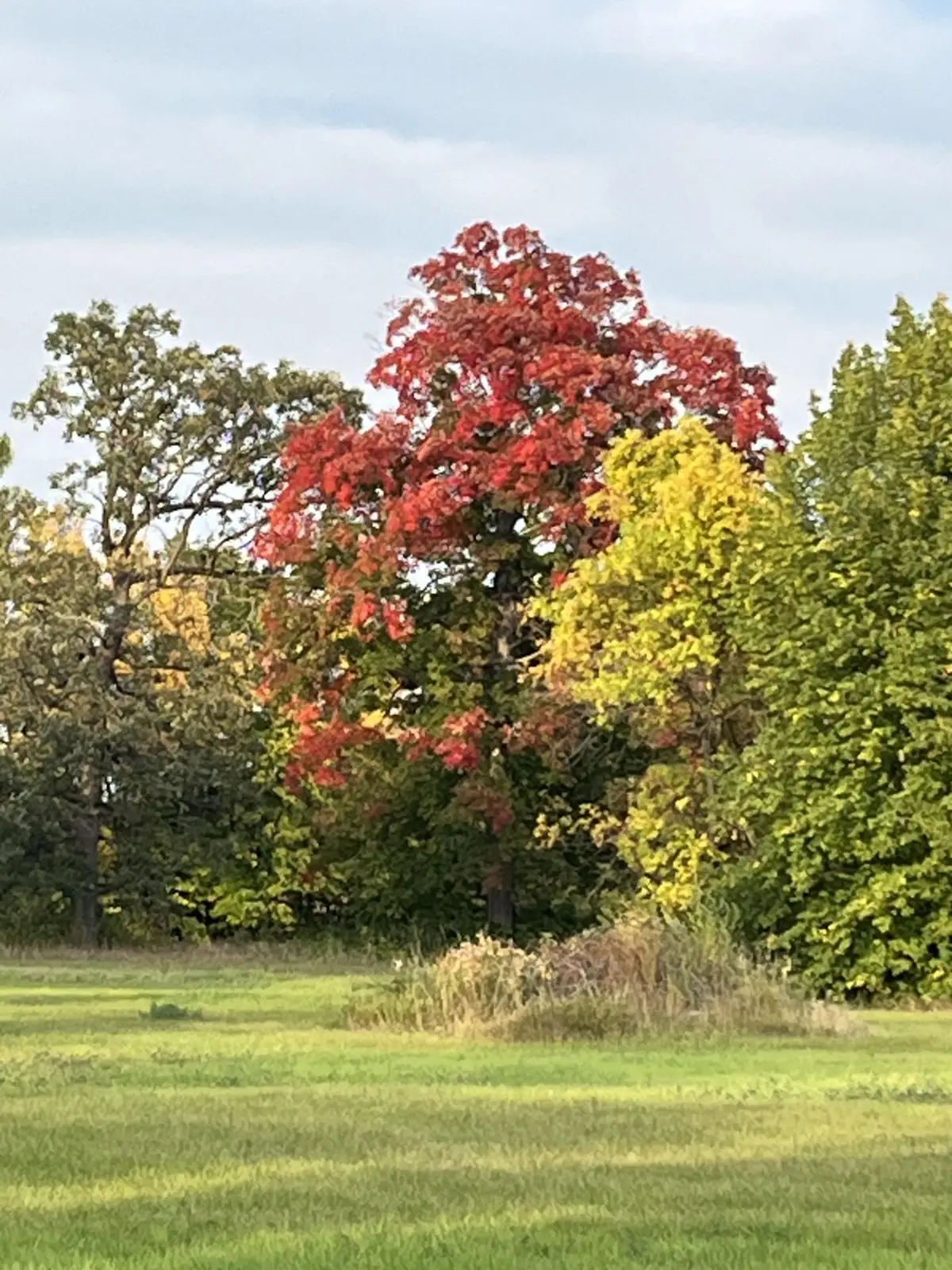 5225 Upland Avenue, New Germany, MN 55367 - #1