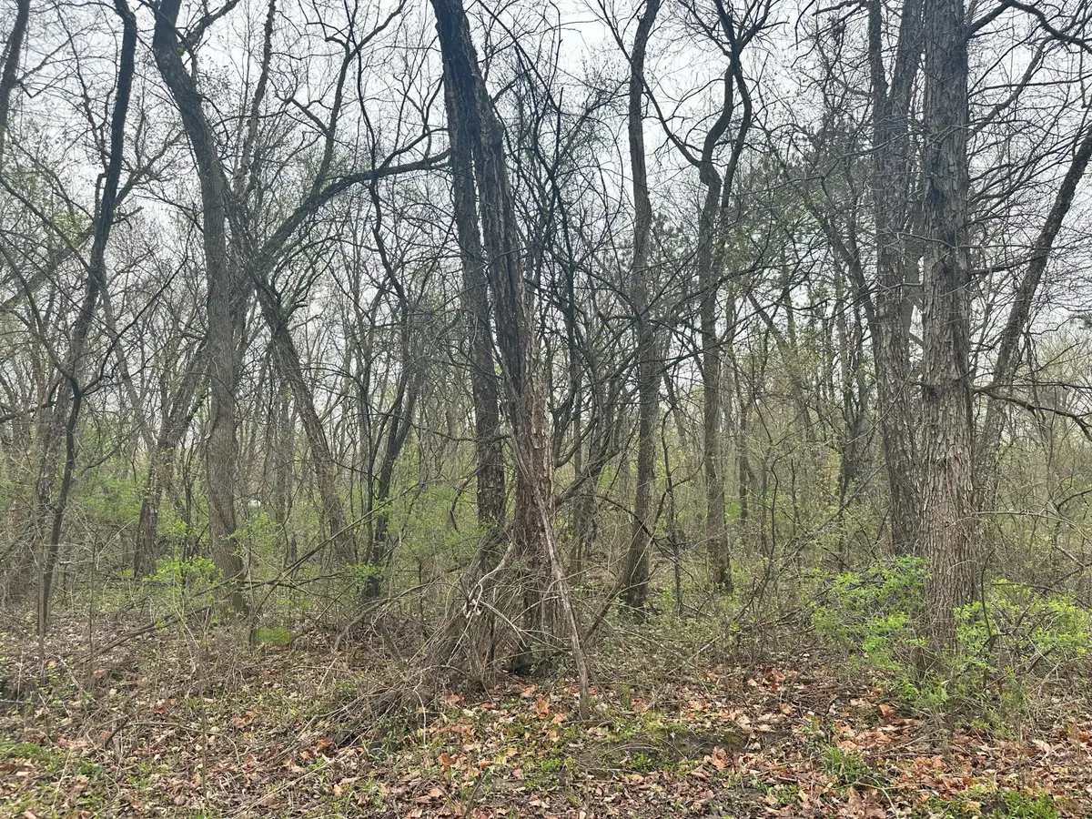 Lot 0 Catfish Drive, Trempealeau, WI 54661 - Image #1