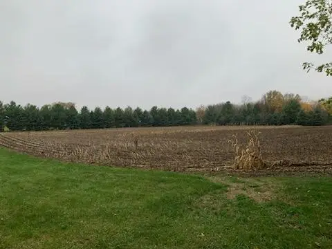 TBD Harrison Avenue Ne, Racine, MN 55967