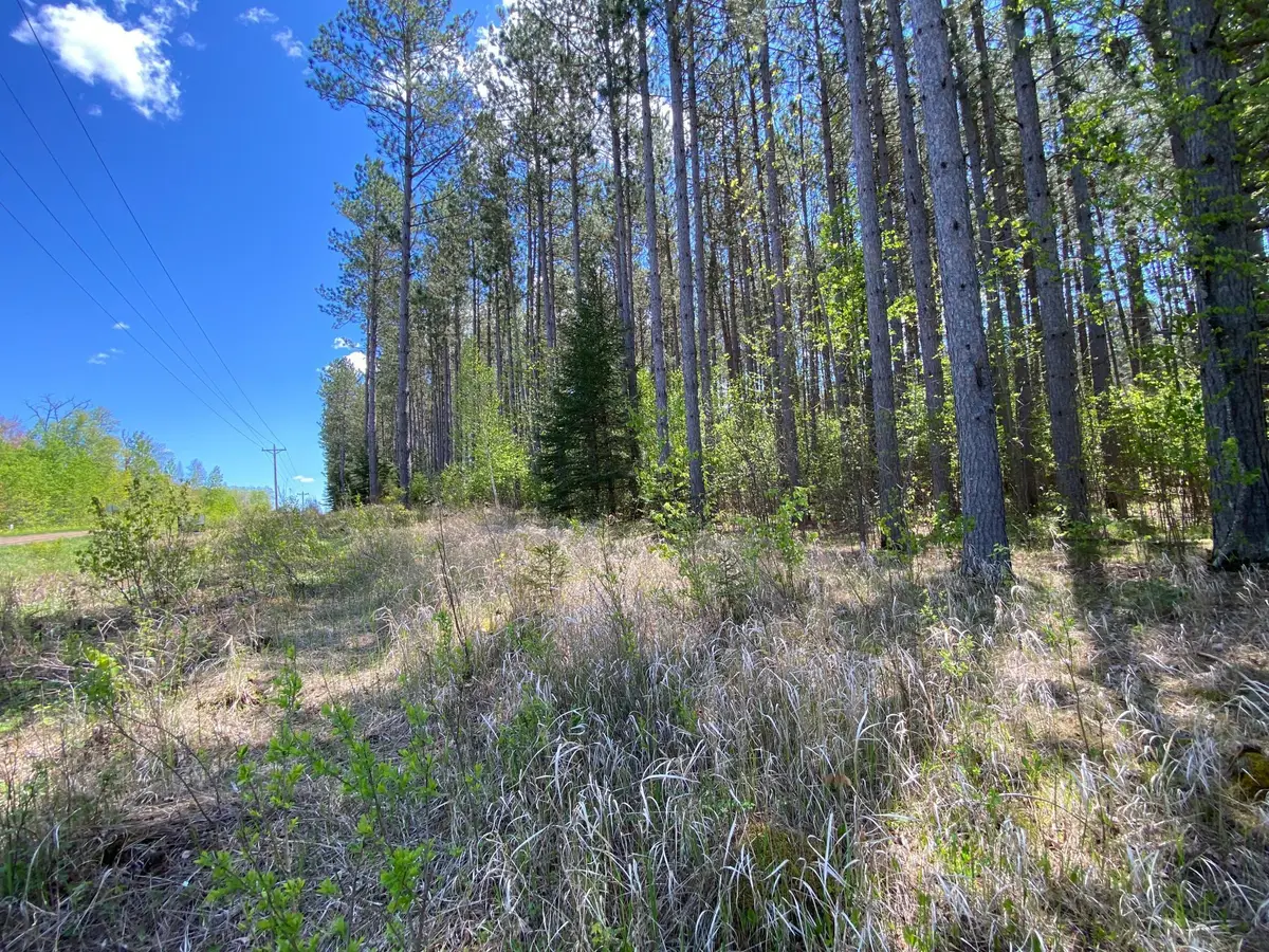 XXXX Minkkinen Rd, Kalevala, MN 55757 - Image #1