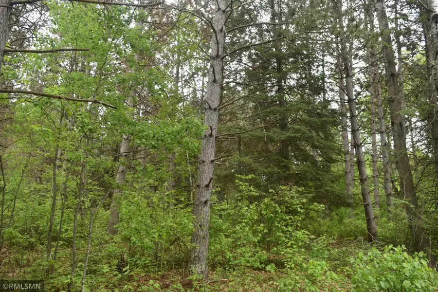 44863 State Highway 48, Arlone, MN 55037 - Image #3