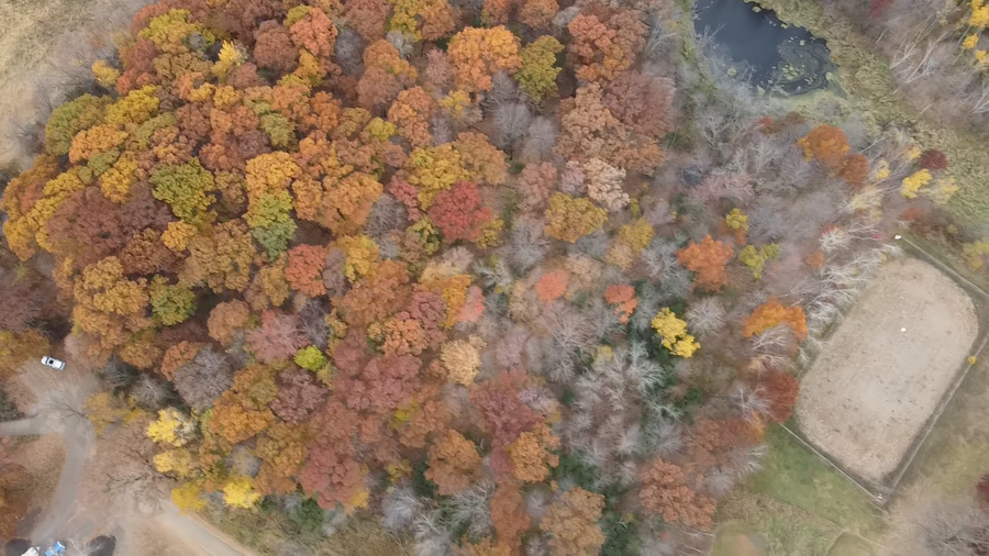 B2/L1 Baker Avenue Nw, Monticello, MN 55362 - Image #3