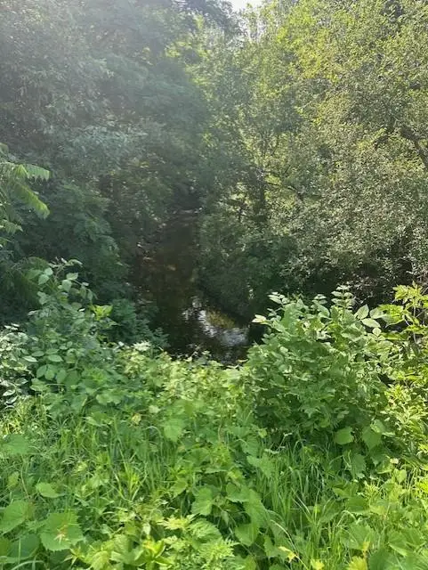 3517 Douglas Drive N, Crystal, MN 55422 - Image #2