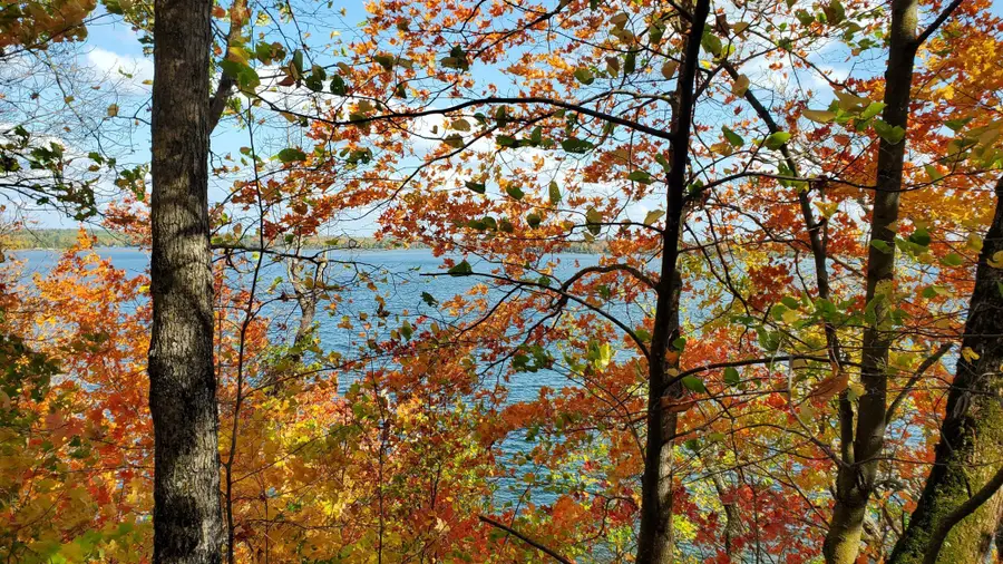 7xx 28th Street Nw, Woodrow Township, MN 56452 - Image #2