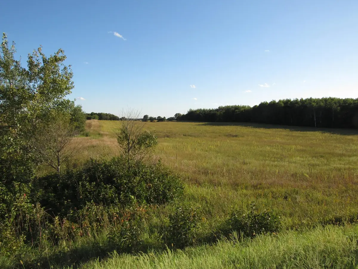 TBD 12th Parcel 8 Street Sw, Backus, MN 56435 - Image #1
