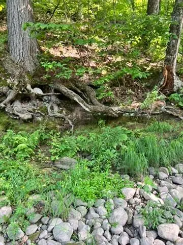 28xxx 89th Avenue, Boyd, WI 54726 - Image #2