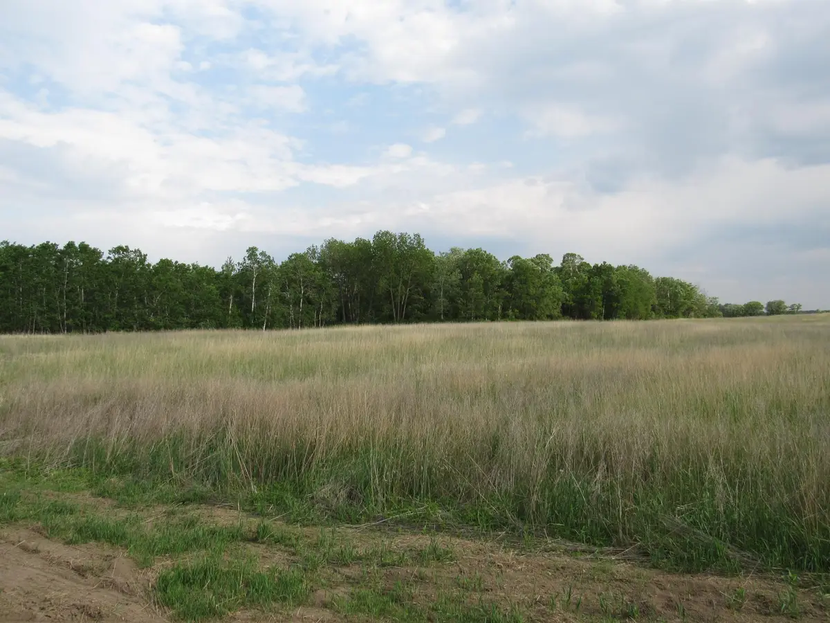 TBD 12th Parcel 9 Sw, Backus, MN 56435 - Image #1