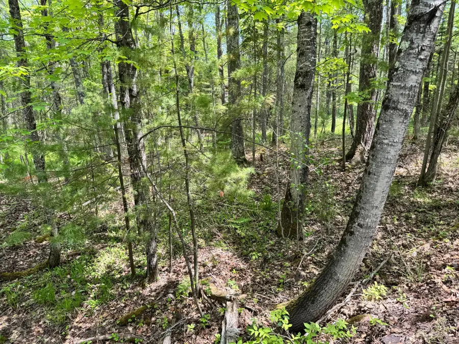 434 Minnewawa Drive, La Pointe, WI 54850 - Image #3