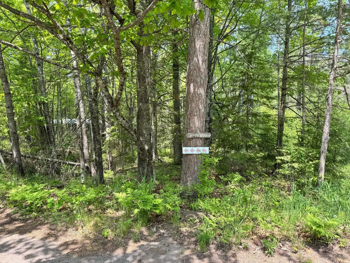 438 Minnewawa Drive, La Pointe, WI 54850 - Image #1