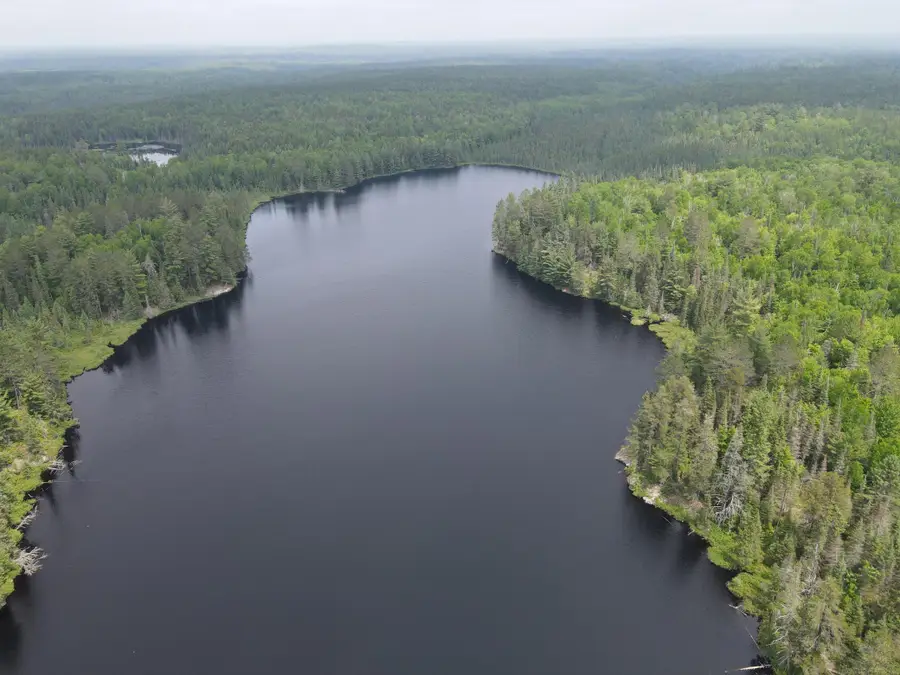 TBD Holm Logging Road, Cook, MN 55723 - Image #2