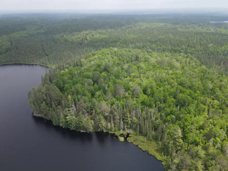 TBD Holm Logging Road, Cook, MN 55723 - Image #3