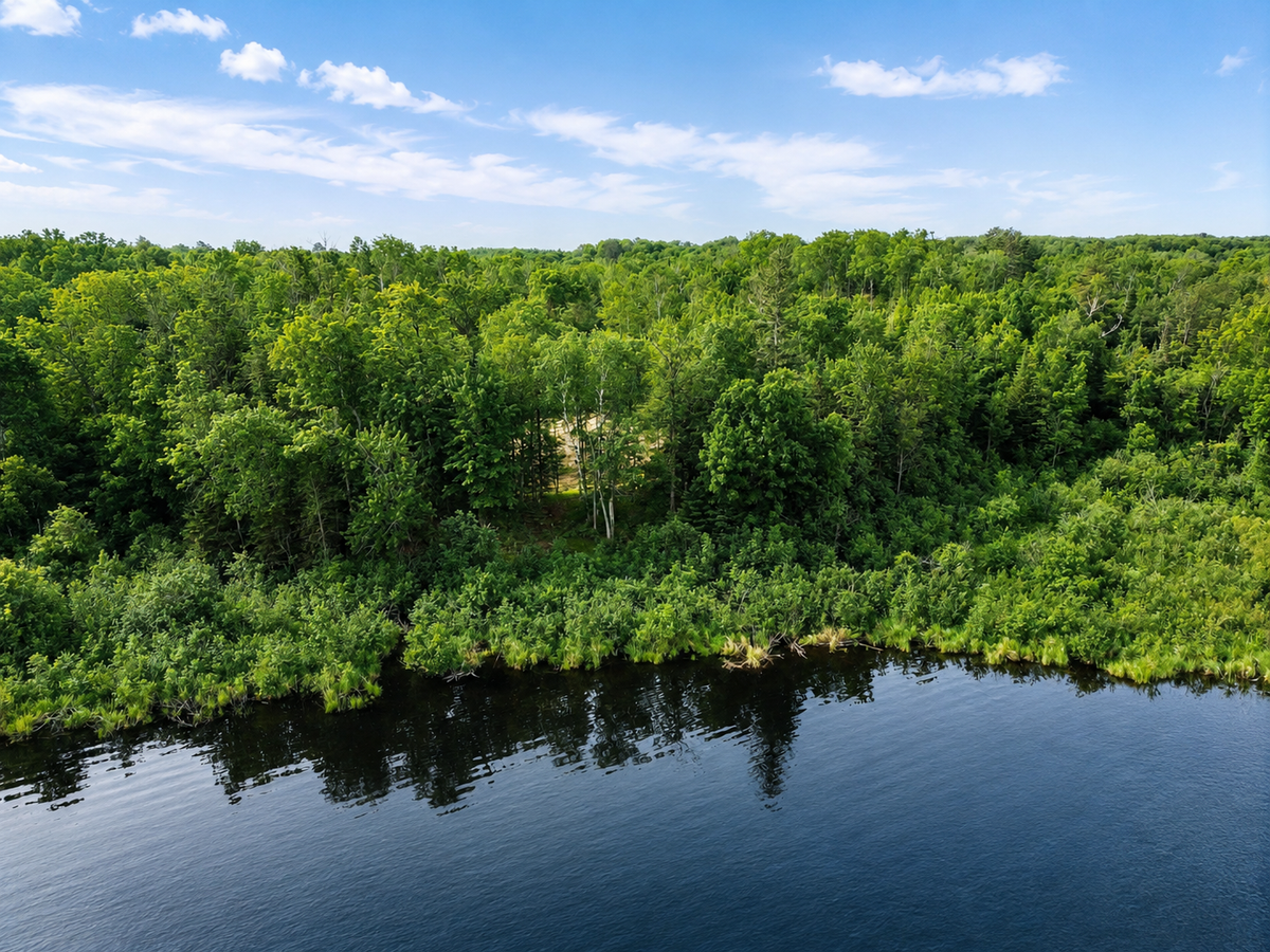 7787 Agency Narrows Drive Nw, Walker, MN 56484 - #1