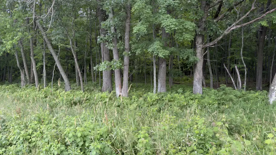 xxx Athens, Stacy, MN 55079 - Image #2