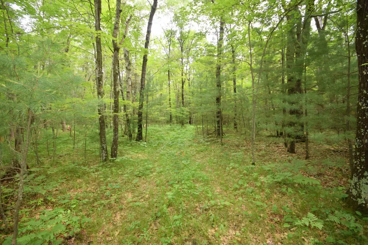 TBD Helsene Road, Webster, WI 54893 - Image #1