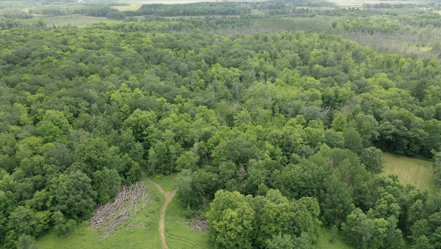 TBD Tamarac Road, South Harbor Township, MN 56353 - Image #2