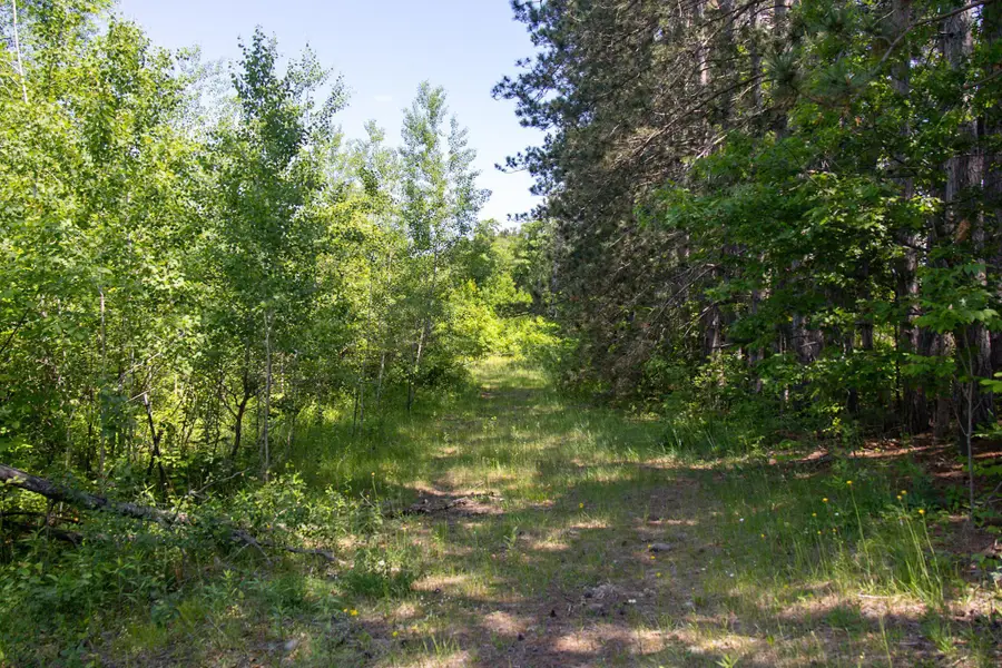 0000 N Riverside Road, Moose Lake Township, MN 55767 - Image #2